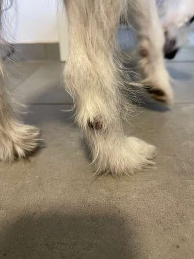 Offene Stelle-Beitrag-Bild