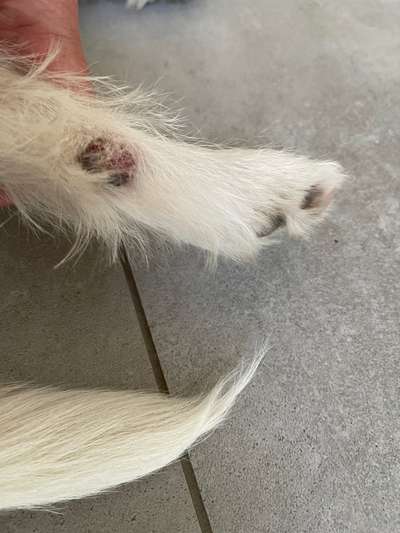 Offene Stelle-Beitrag-Bild