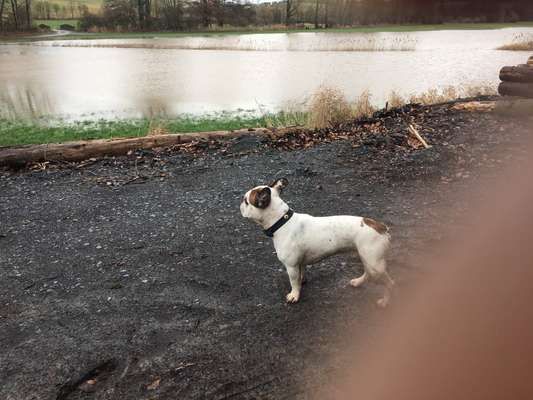 Zeigt mir eure Lieblingsfotos ♡♡-Beitrag-Bild