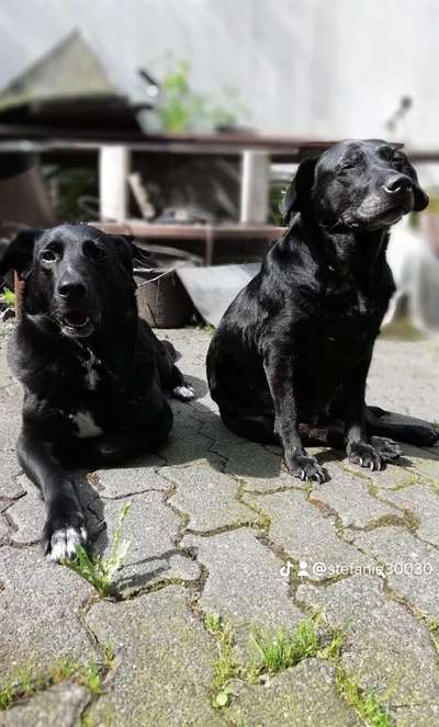 140. Foto Challenge - schattiges Plätzchen-Beitrag-Bild