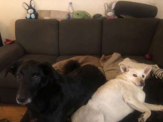 140. Foto Challenge - schattiges Plätzchen-Beitrag-Bild