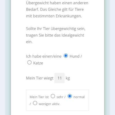 Richtige Futtermenge Nassfutter von Wild & Seed-Beitrag-Bild