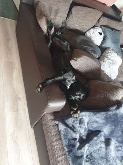 Die unbequemsten und lustigsten Schlafpositionen-Beitrag-Bild