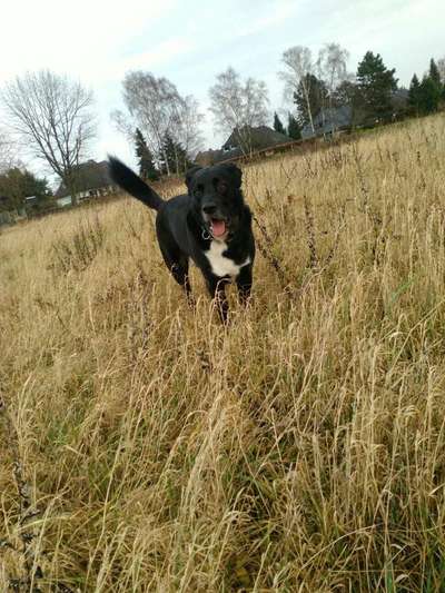 Lieblingsbild-Beitrag-Bild