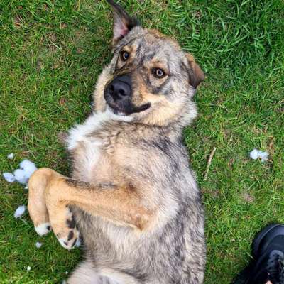 Fotowettbewerb Natur-Beitrag-Bild