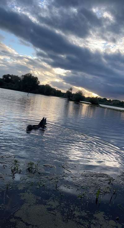 Lieblings Fotos-Beitrag-Bild