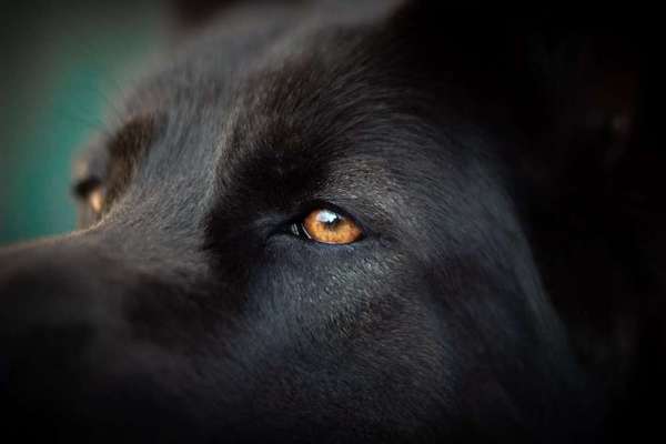 Blick fürs Detail!-Beitrag-Bild