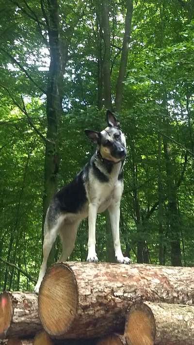 Theos Fotochallenge Nr. 3-Beitrag-Bild