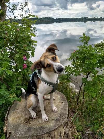 Theos Fotochallenge Nr. 3-Beitrag-Bild