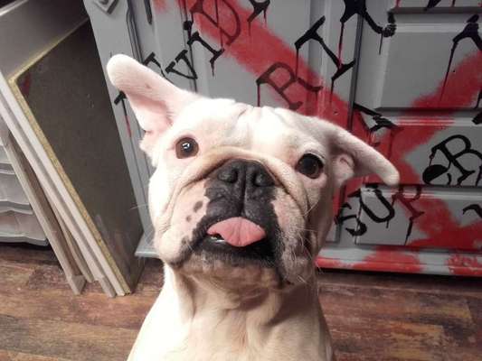 Fotochallange Nr. 57     PORTRÄT.   Beendet!!!!!!!!-Beitrag-Bild