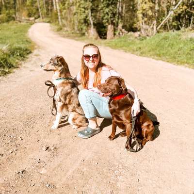 Hundetreffen-Begegnungen üben und Gassi mit Übungen-Profilbild