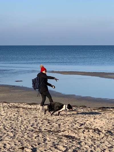 Hundmenschfotos-Beitrag-Bild