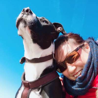 Dogorama Photo Challenge - Selfie Time!-Beitrag-Bild