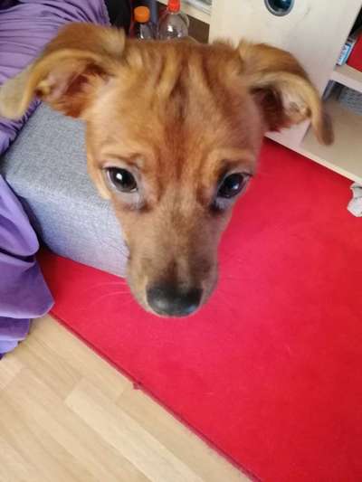 Fotochallange 84-Beitrag-Bild