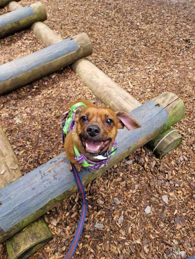 Das beste grinsefoto-Beitrag-Bild