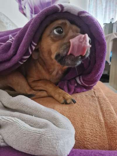 Lustige Grimassen & verrückte Posen-Beitrag-Bild