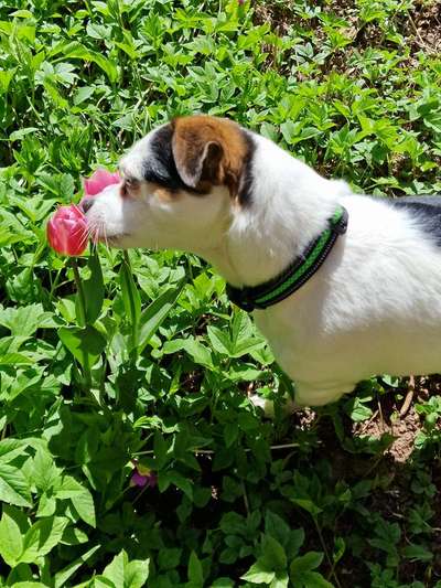 Fotochallenge 78

Es grünt und blüht-Beitrag-Bild