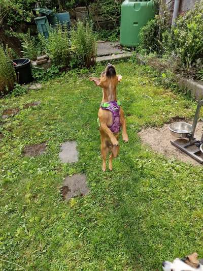 Lustige Grimassen & verrückte Posen-Beitrag-Bild