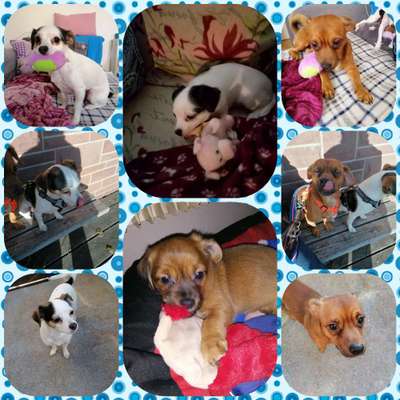 Sie werden so schnell groß!-Beitrag-Bild