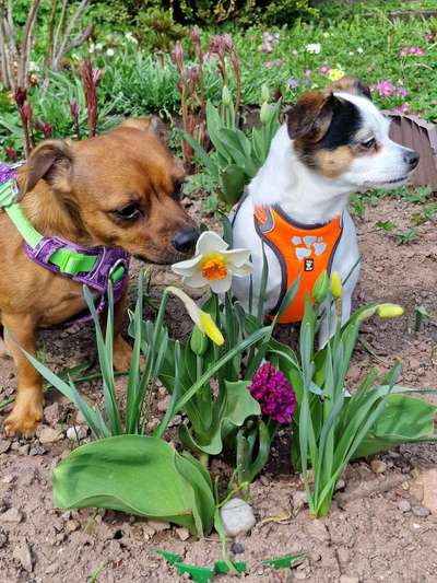 Fotowettbewerb Natur-Beitrag-Bild