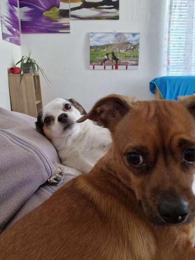 4. Lustiger Schlafplatz-Beitrag-Bild