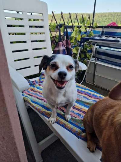 Das beste grinsefoto-Beitrag-Bild