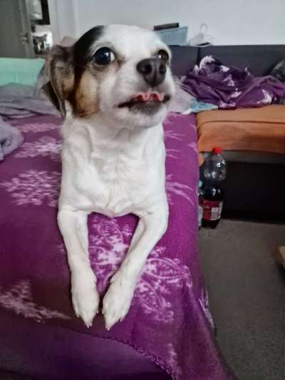 Lustige Grimassen & verrückte Posen-Beitrag-Bild