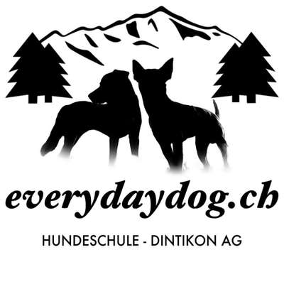 Hundeschulen-everydaydog.ch-Bild