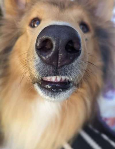 Handy-Foto Challange Nr. 10-Beitrag-Bild