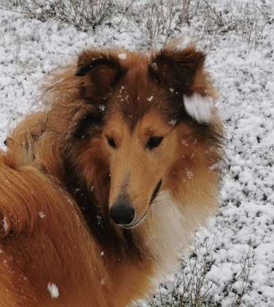 Handy-Foto-Challange Nr.9-Beitrag-Bild