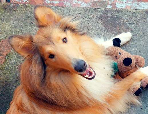 Handy-Foto Challange Nr. 10-Beitrag-Bild