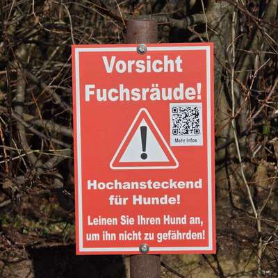 Giftköder-Schild "Fuchsräude"-Bild