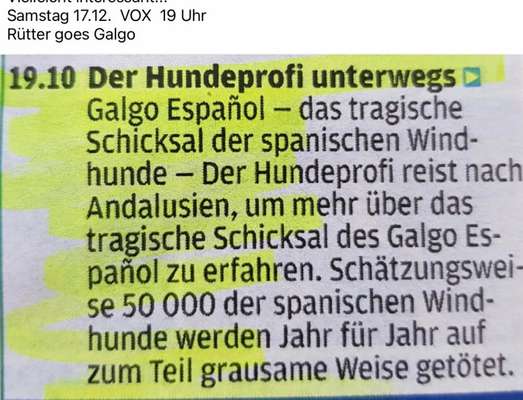 Windhunde - Treffen der besonderen Schönheiten
HERZLICH WILLKOMMEN-Beitrag-Bild