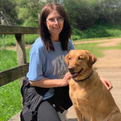 Hundetreffen-Gemeinsamer Spaziergang-Profilbild