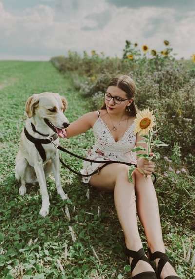 Die Dogorama Wochen Challenge-Beitrag-Bild