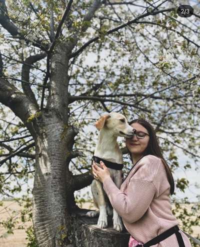 FOTOCHALLENGE 45: Dein Hund und Du - ein eingespieltes Team-Beitrag-Bild