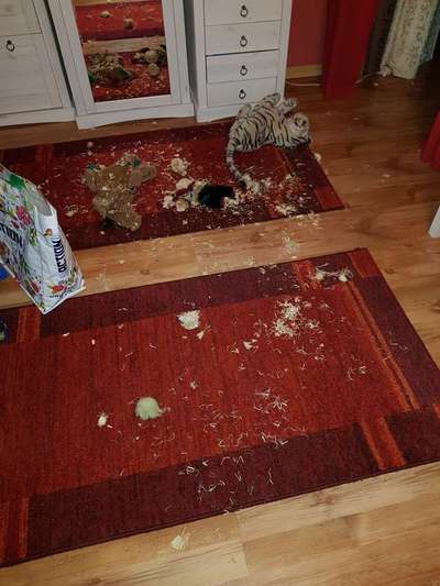 Zeig mir, dass du mit einem hund zusammenlebst....-Beitrag-Bild