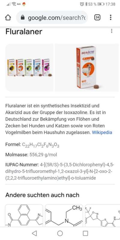 Zeckenstich - Tierarzt nötig?-Beitrag-Bild