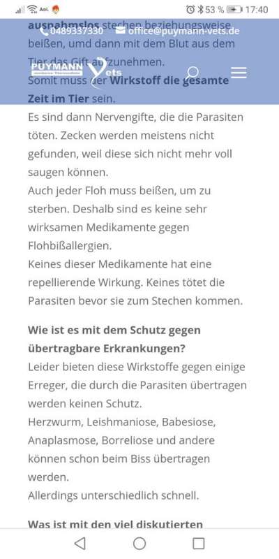 Zeckenstich - Tierarzt nötig?-Beitrag-Bild