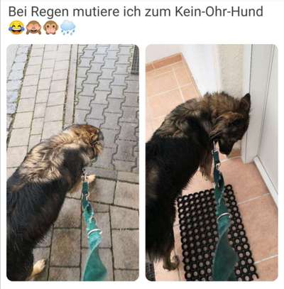 Pullis, Jacken, Hütte und alles sonstiges-Beitrag-Bild