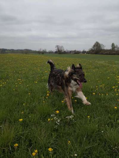 Doppelgänger gesucht !-Beitrag-Bild