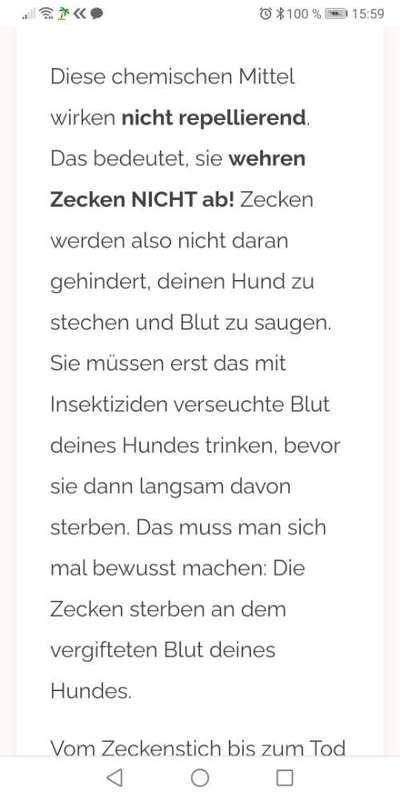 Floh und Zeckenmittel-Beitrag-Bild