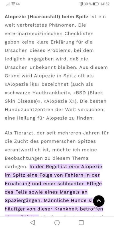 Großflächiger Fellverlust-Beitrag-Bild