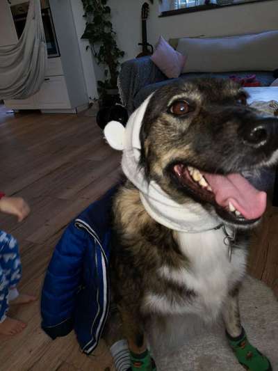 Pullis, Jacken, Hütte und alles sonstiges-Beitrag-Bild