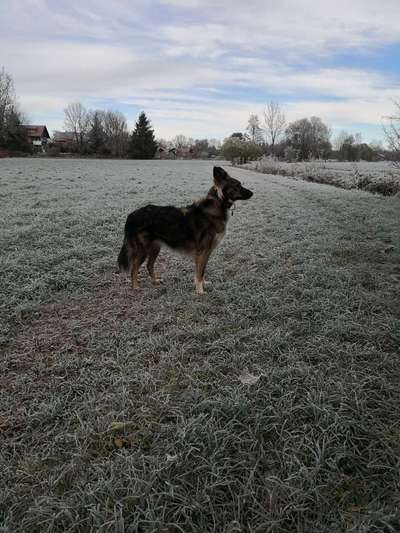 Doppelgänger gesucht !-Beitrag-Bild