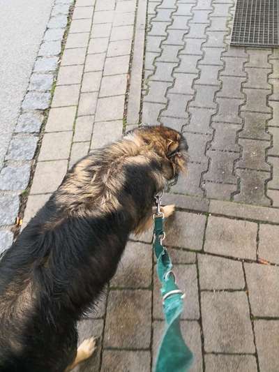 Pullis, Jacken, Hütte und alles sonstiges-Beitrag-Bild