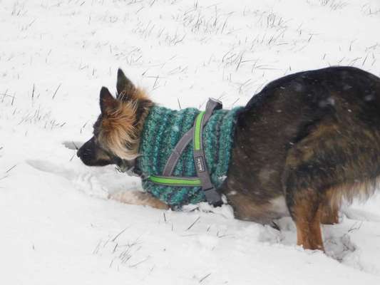 Pullis, Jacken, Hütte und alles sonstiges-Beitrag-Bild