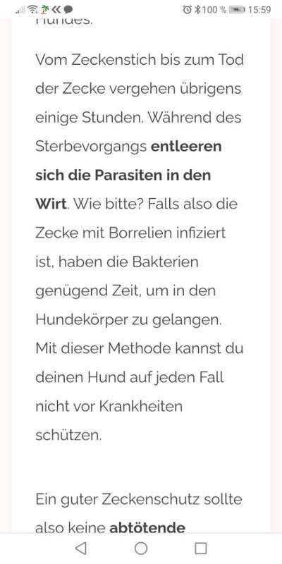 Floh und Zeckenmittel-Beitrag-Bild