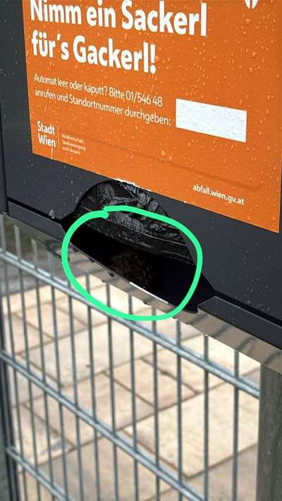 Giftköder-Wespennester in Sackerlspender-Bild