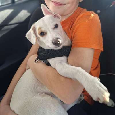 Suchmeldung-Buddy-Bild